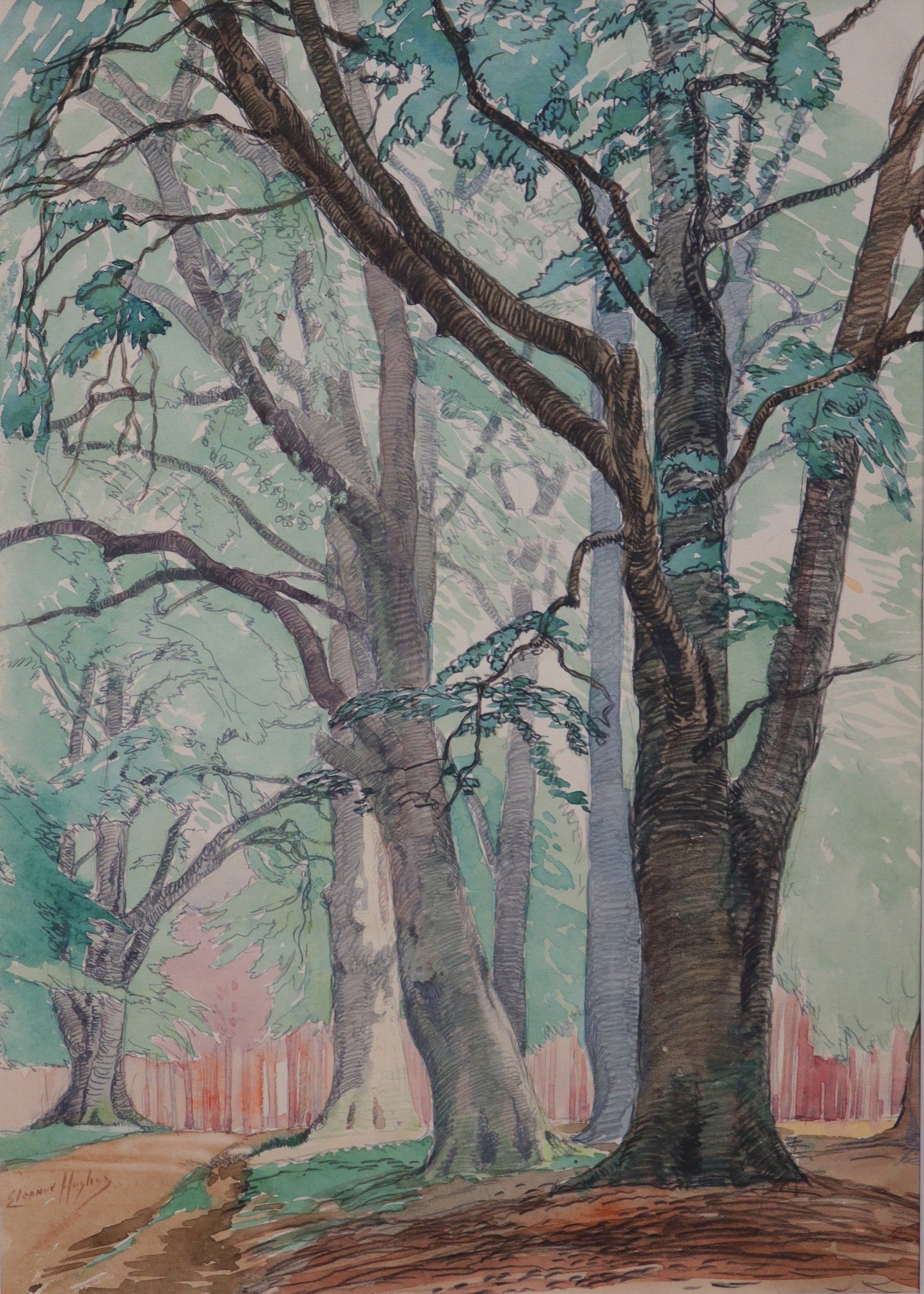 ELEANOR HUGHES 1882-1959 | Woodland